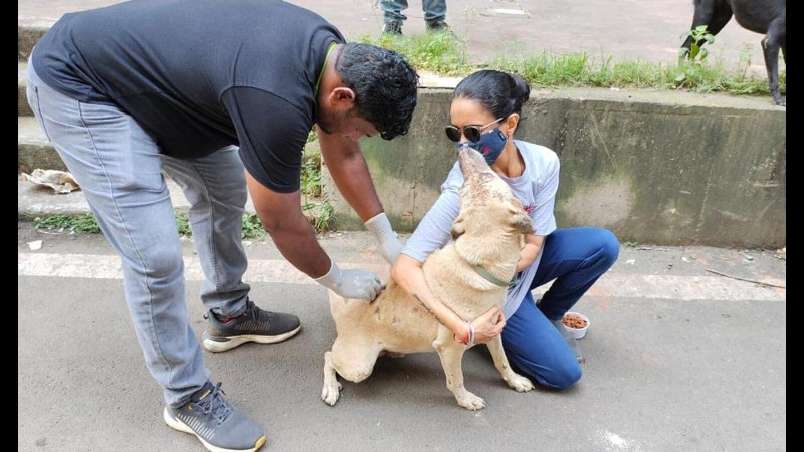 canine-welfare-trust-launches-drive-to-eliminate-rabies-deaths-by-2030