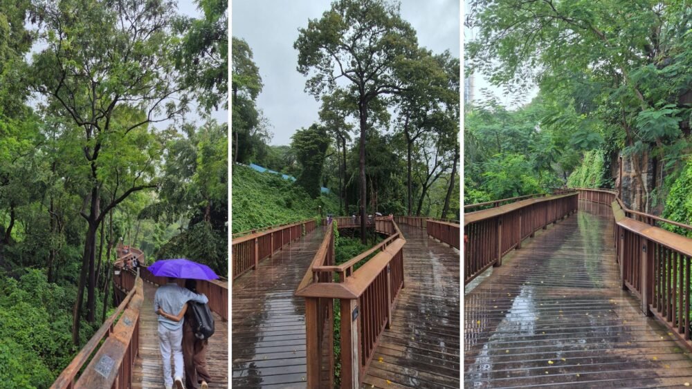 malabar-hill-nature-trail-emerges-as-mumbai’s-top-monsoon-destination-with-nearly-3-lakh-visitors