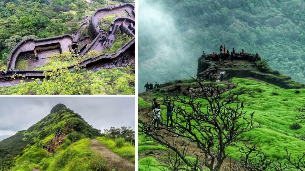 top-weekend-top-5-treks-near-pune-to-explore-this-november