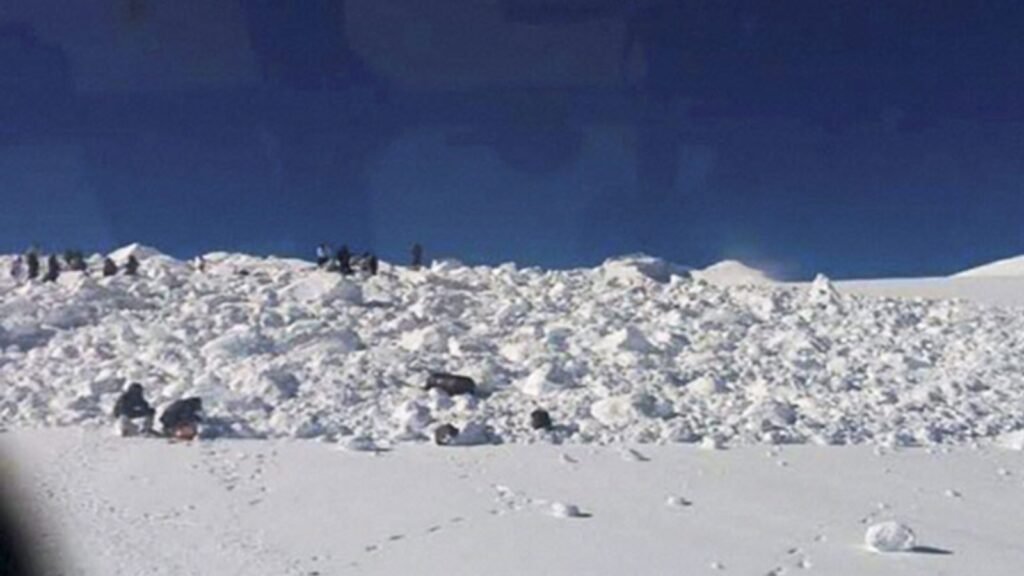 at-cop30,-scientists-want-aggressive-action-on-emissions-to-save-cryosphere