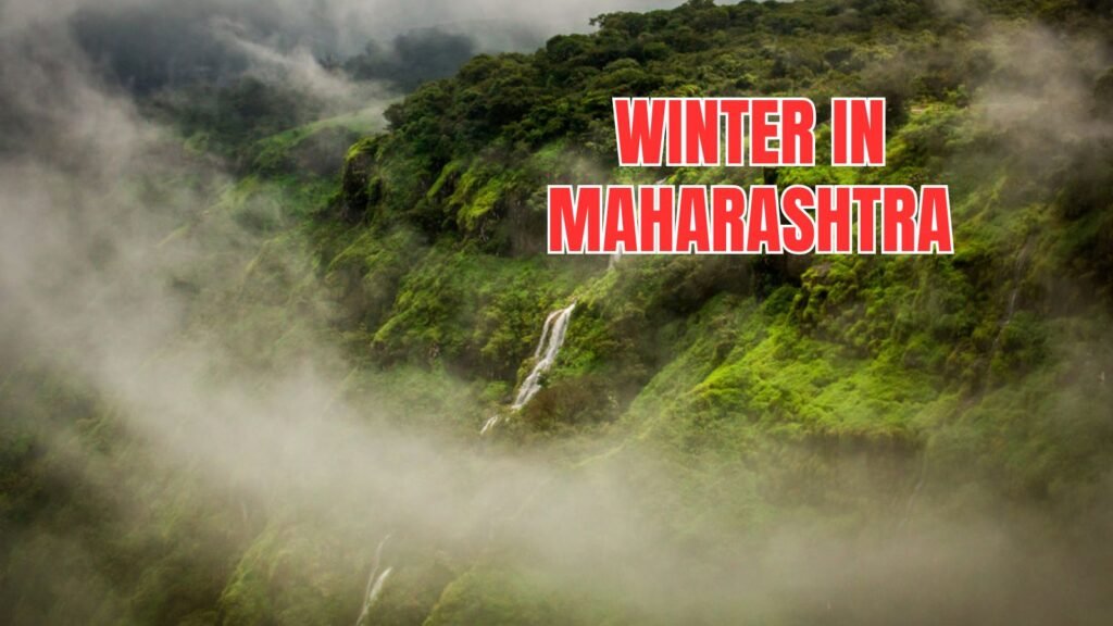 winter-in-maharashtra:-mahabaleshwar-isn’t-the-coldest—here’s-the-real-chilly-champion