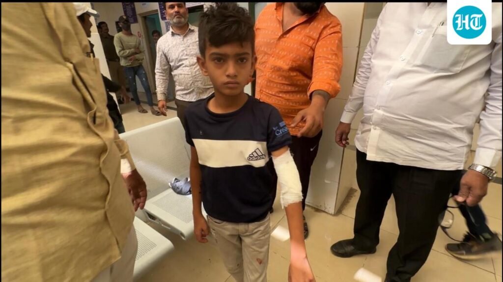 rabid-dog-goes-on-biting-spree-in-chakan,-leaving-many-wounded-in-its-wake