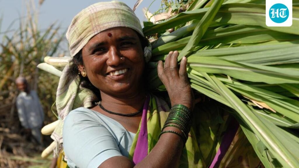 state-to-revamp-panel-monitoring-hysterectomies-in-beed-amid-rising-concerns