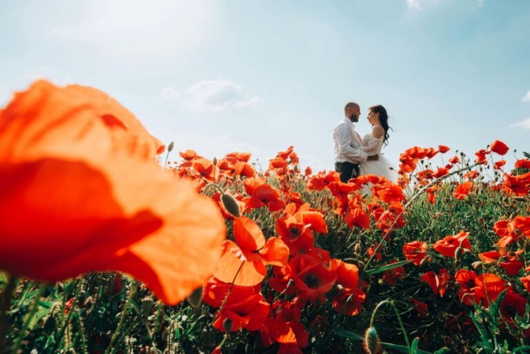 Top 15 Gemini Romantic Couple Flower Field Photo Prompts in 4K HD With a Magical, Realistic Touch
