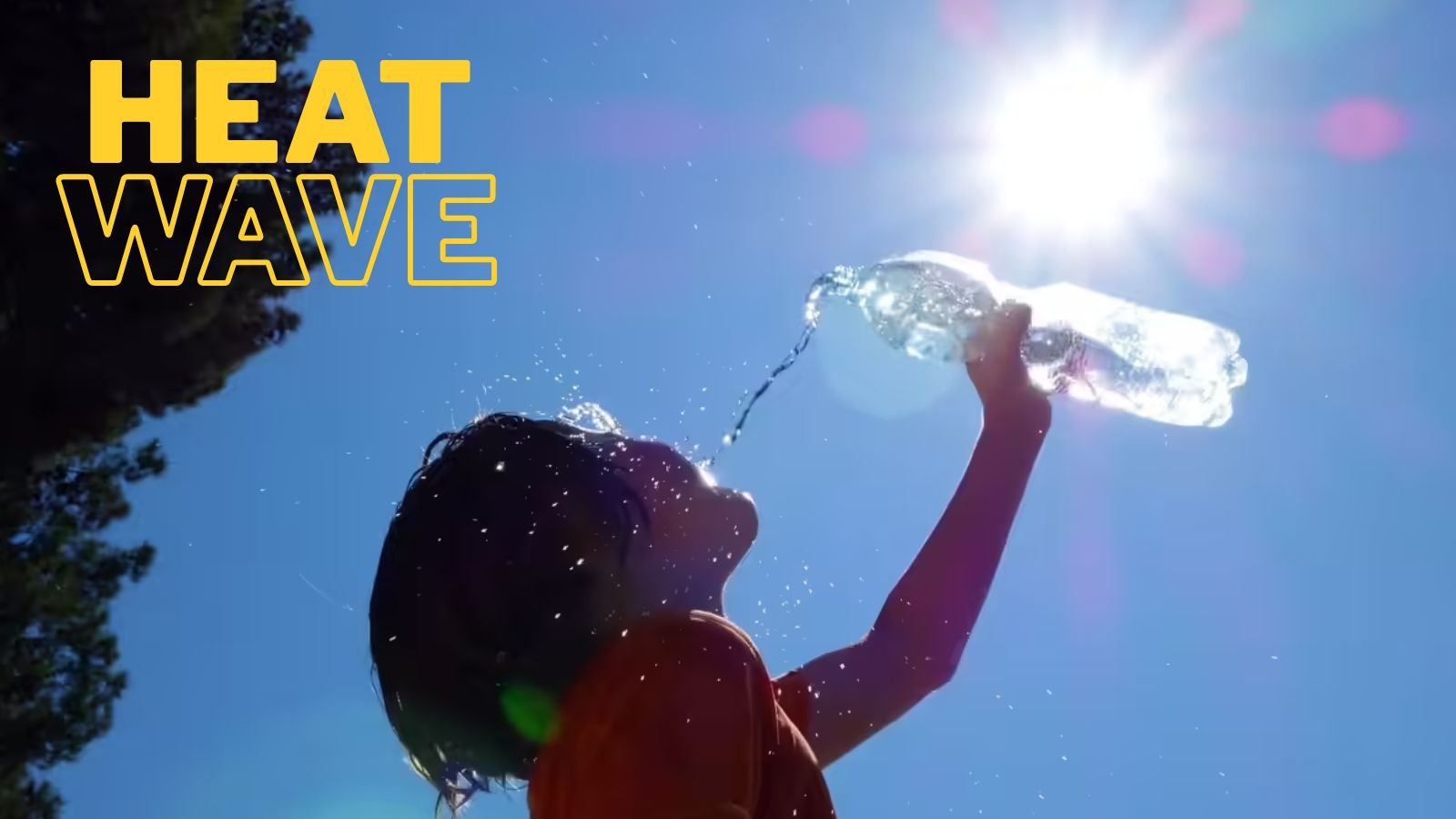 weather-alert-for-february-13:-winter-recedes-in-maharashtra,-heat-sets-in;-imd-issues-advisory