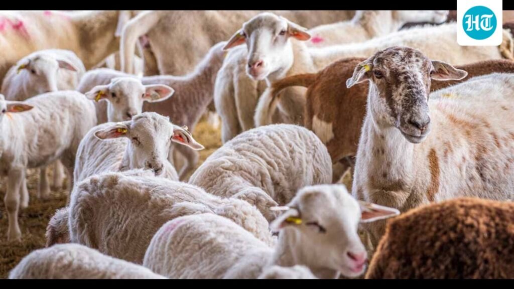 mutton-club:-the-social-order-in-colonial-india