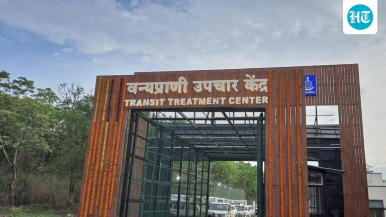 Clean chit for RESQ Charitable Trust in foreign volunteer inquiry