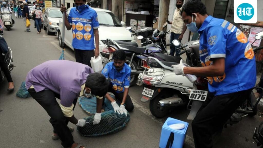 pcmc-warns-action-against-those-obstructing-stray-dog-rabies-drive