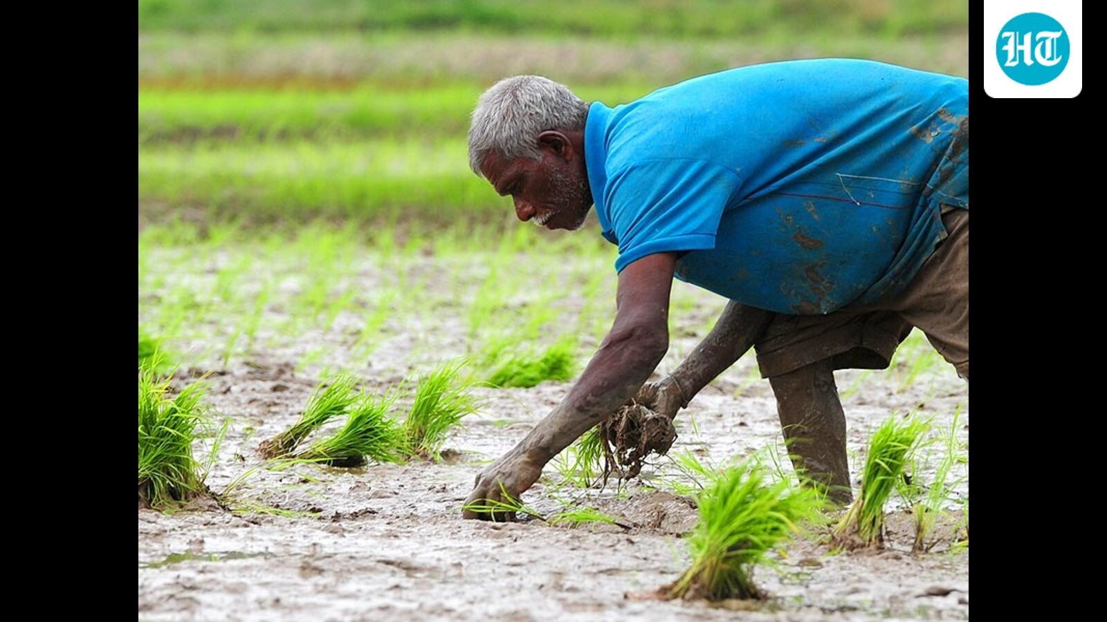 monday-musings:-the-political-economy-of-farm-loan-waivers-in-maharashtra