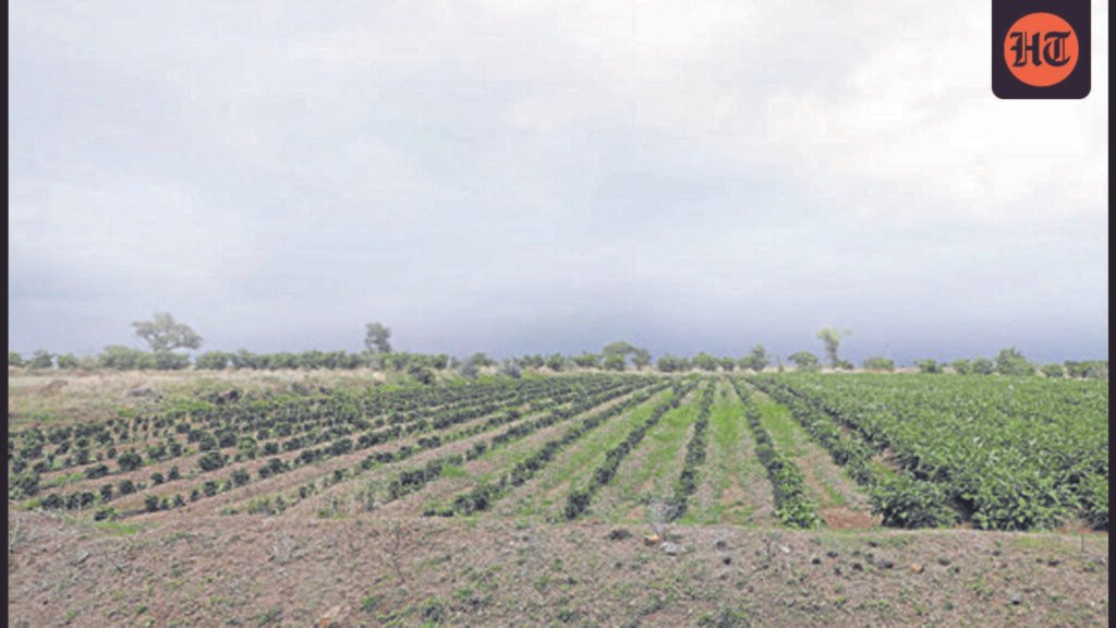 midc-seeks-forest-clearance-for-38.5-hectares-for-purandar-airport