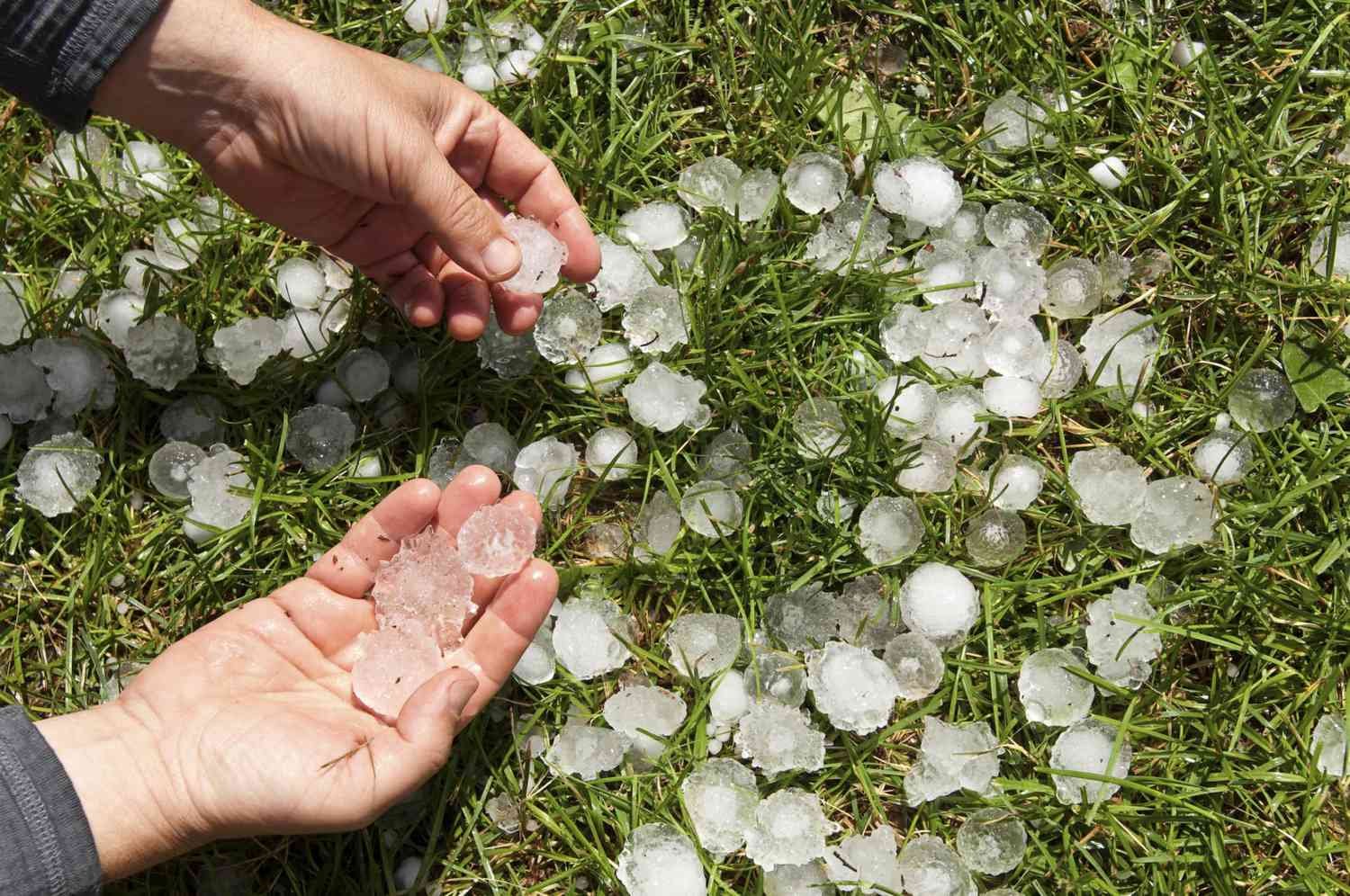 eating-hailstones:-is-it-safe-or-harmful?-what-happens-to-your-body