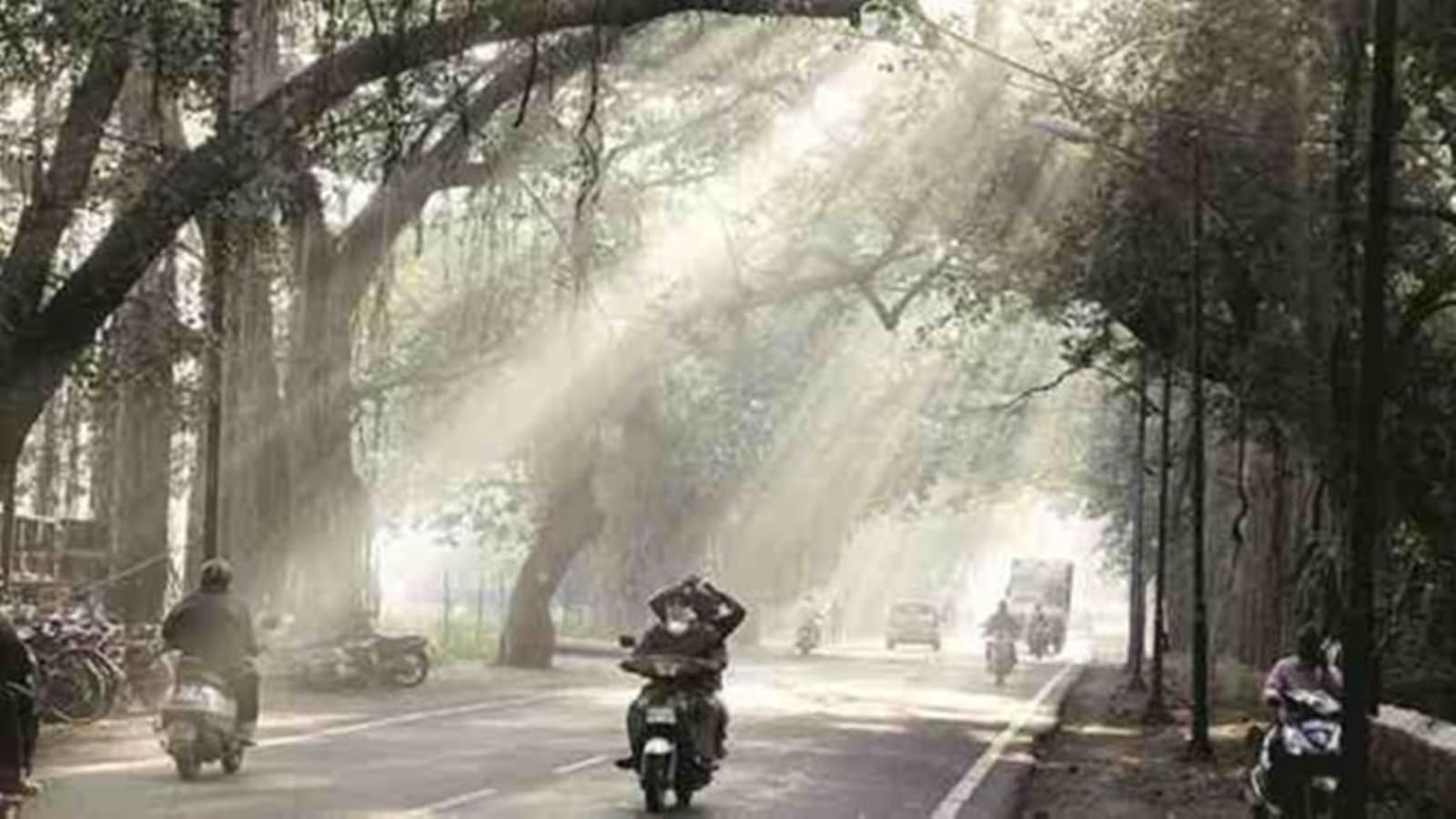 coolest-mornings-give-way-to-scorching-days:-what-is-happening-to-pune-weather?