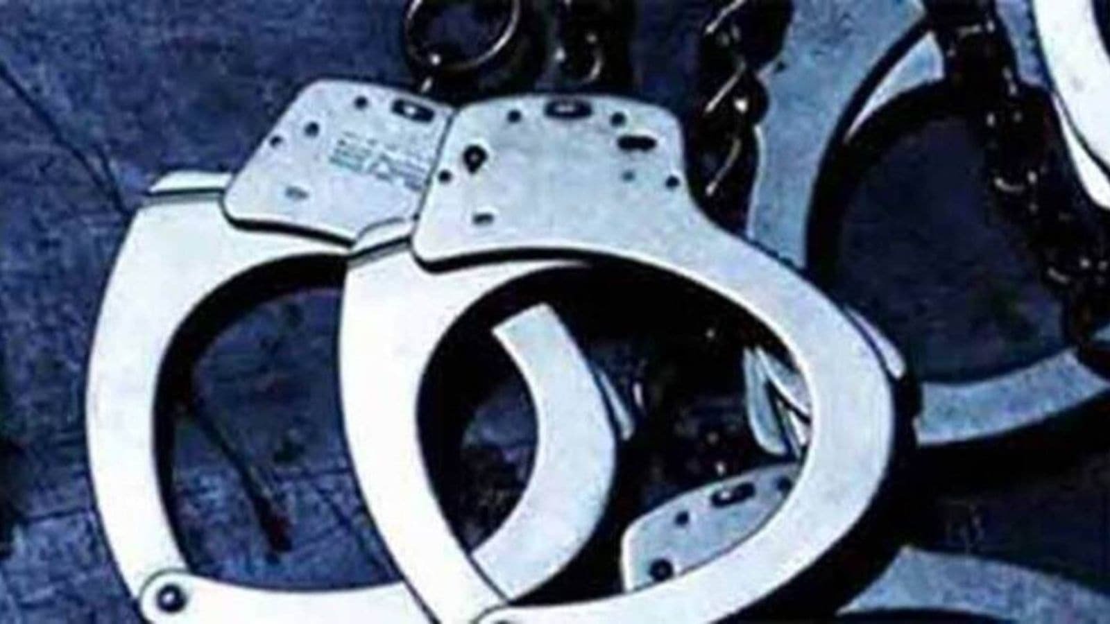 pune-woman-kills-80-year-old-mother-in-law-after-years-of-domestic-dispute