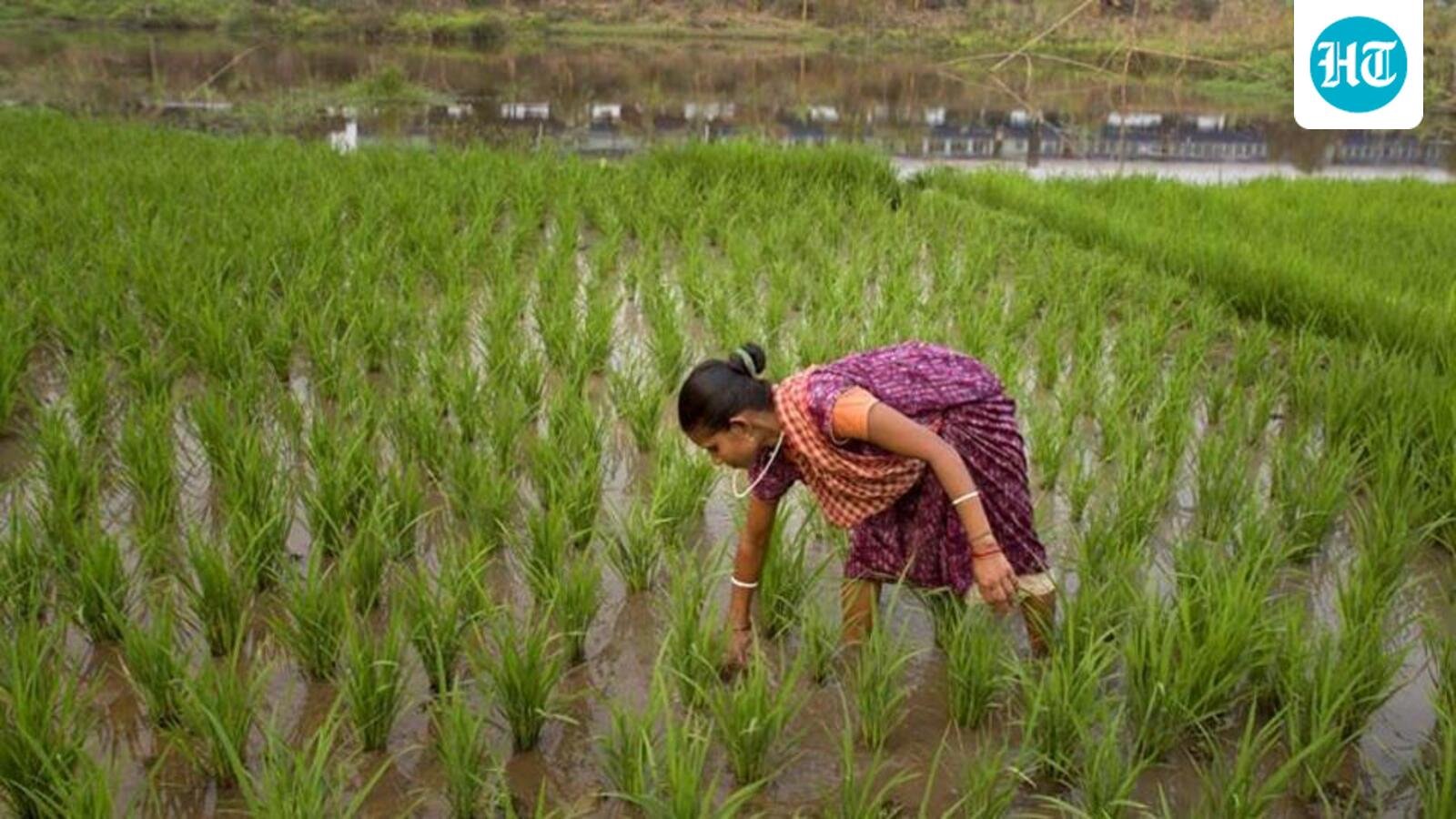 fertiliser-supply-under-strain-ahead-of-kharif-season