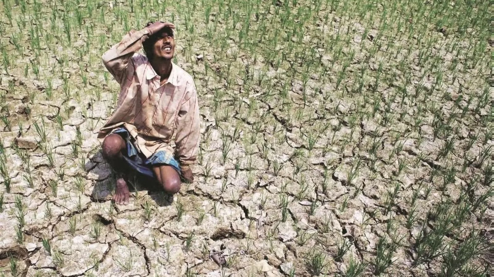 could-2026-see-india’s-worst-monsoon-since-2015?-imd-warns-of-60%-chance-of-below-normal-rainfall