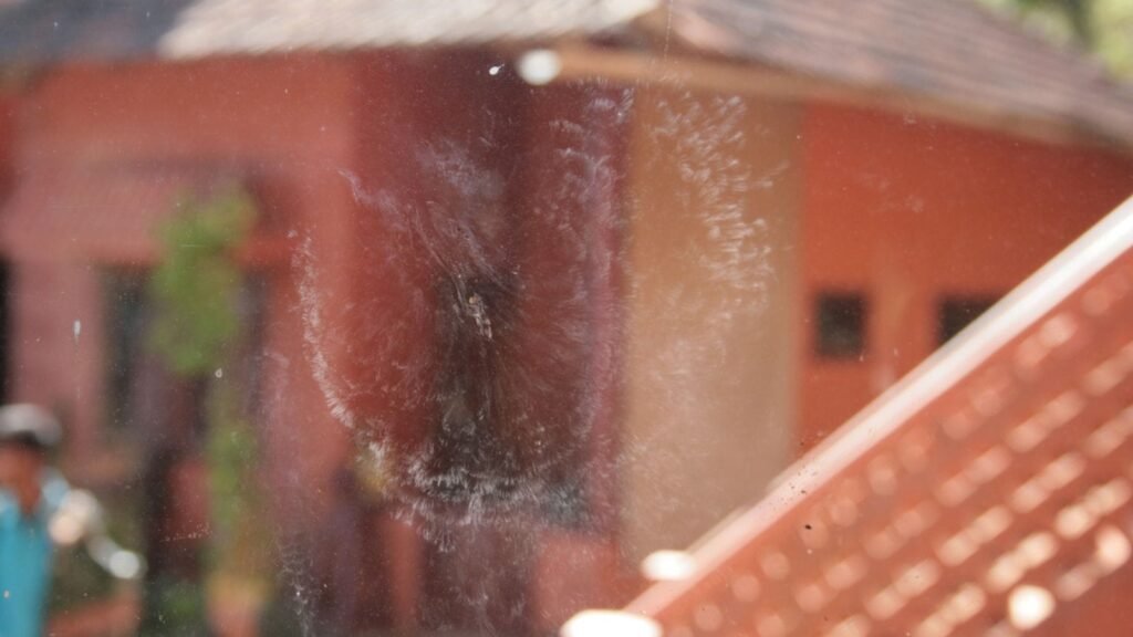 world-environment-day:-tracking-bird-window-collisions-through-citizen-science,-industry-outreach