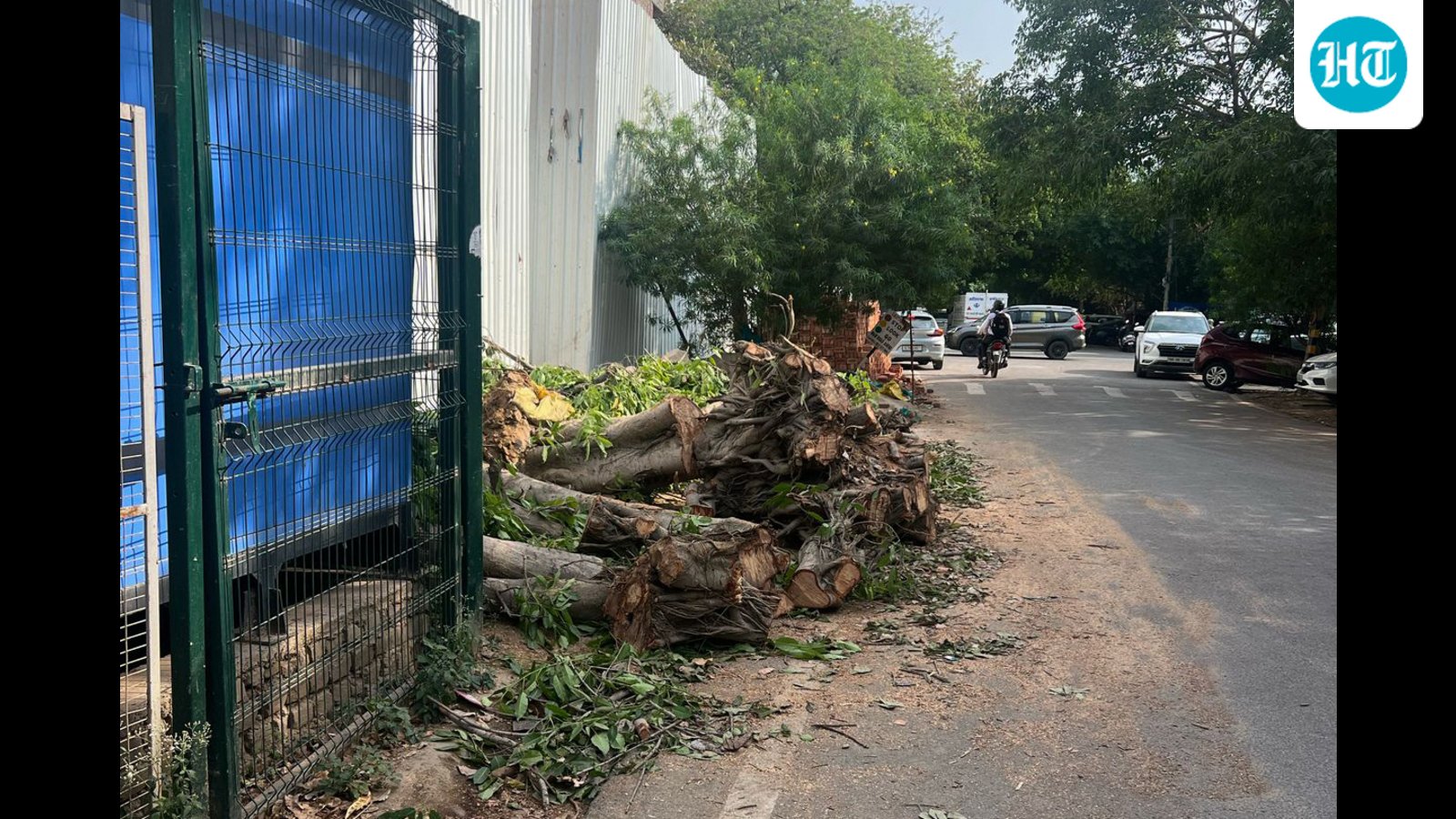 proposed-tree-felling-triggers-widespread-public-opposition