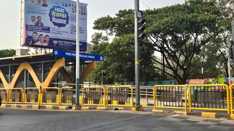 Accessibility gaps, rash driving concerns leave disabled commuters struggling
