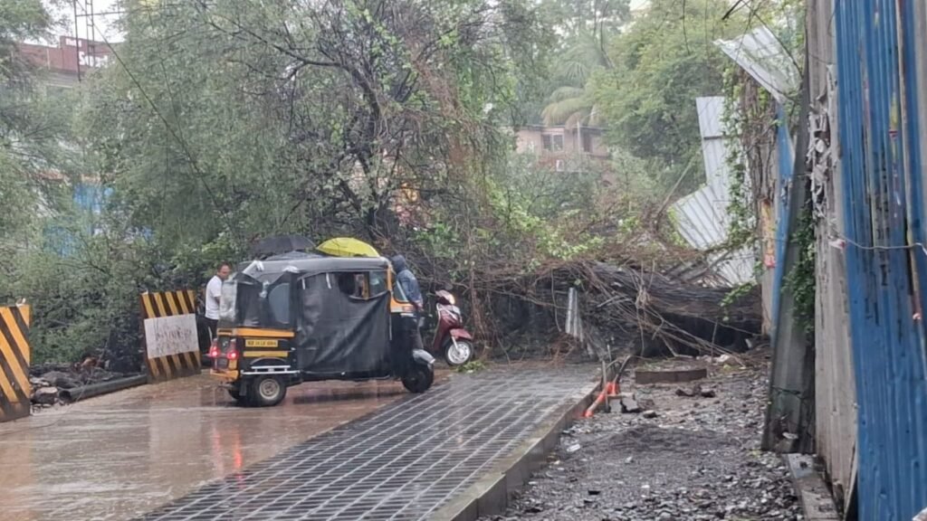 pune-morning-walker-injured-after-tree-falls-on-him;-civic-body-shares-helplines