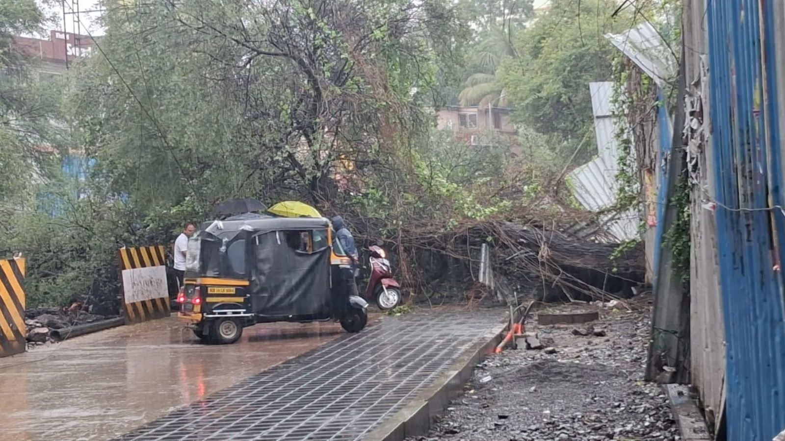 pune-morning-walker-injured-after-tree-falls-on-him;-civic-body-shares-helplines