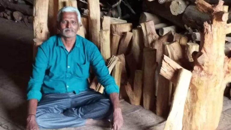 Bengaluru Man Receives ₹28 Lakh After 40-Year-Old Sandalwood Tree Falls in Storm