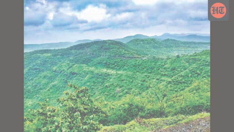 Western Ghats to emerge as India’s major carbon sink by 2100: IITM study