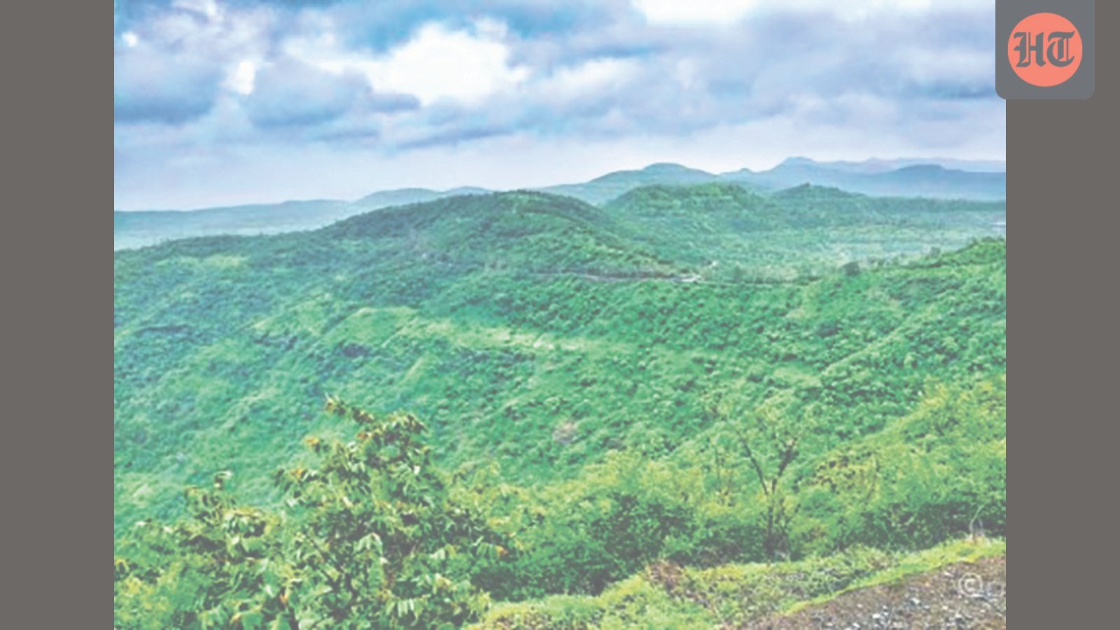 western-ghats-to-emerge-as-indiaтАЩs-major-carbon-sink-by-2100:-iitm-study