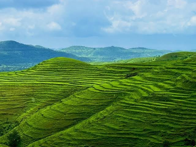 Looking For A Crowd-Free Monsoon Escape? ‘This’ Plateau Offers Nature At Its Best