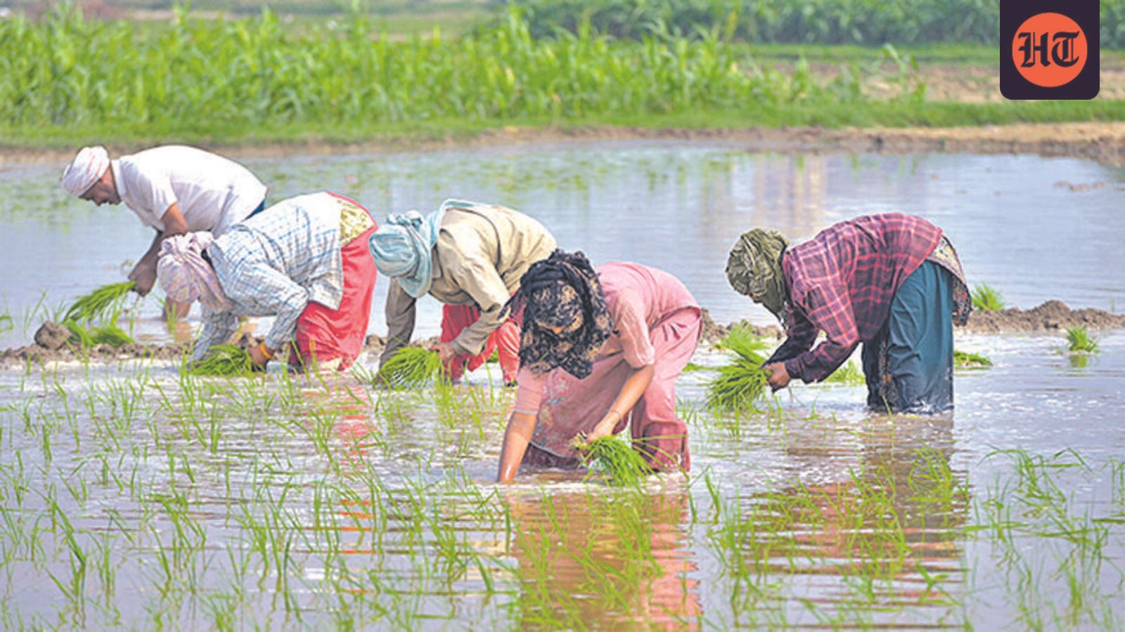 1.7mn-farmers-in-maha-first-list-of-beneficiaries-for-loan-waiver