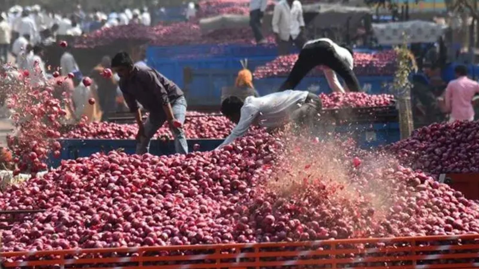 onion-prices-soar-as-wholesale-market-sees-sharp-drop-in-arrivals