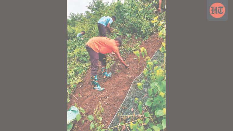 Vetiver grass to protect Central Railway ghat slopes on Pune-Mumbai route