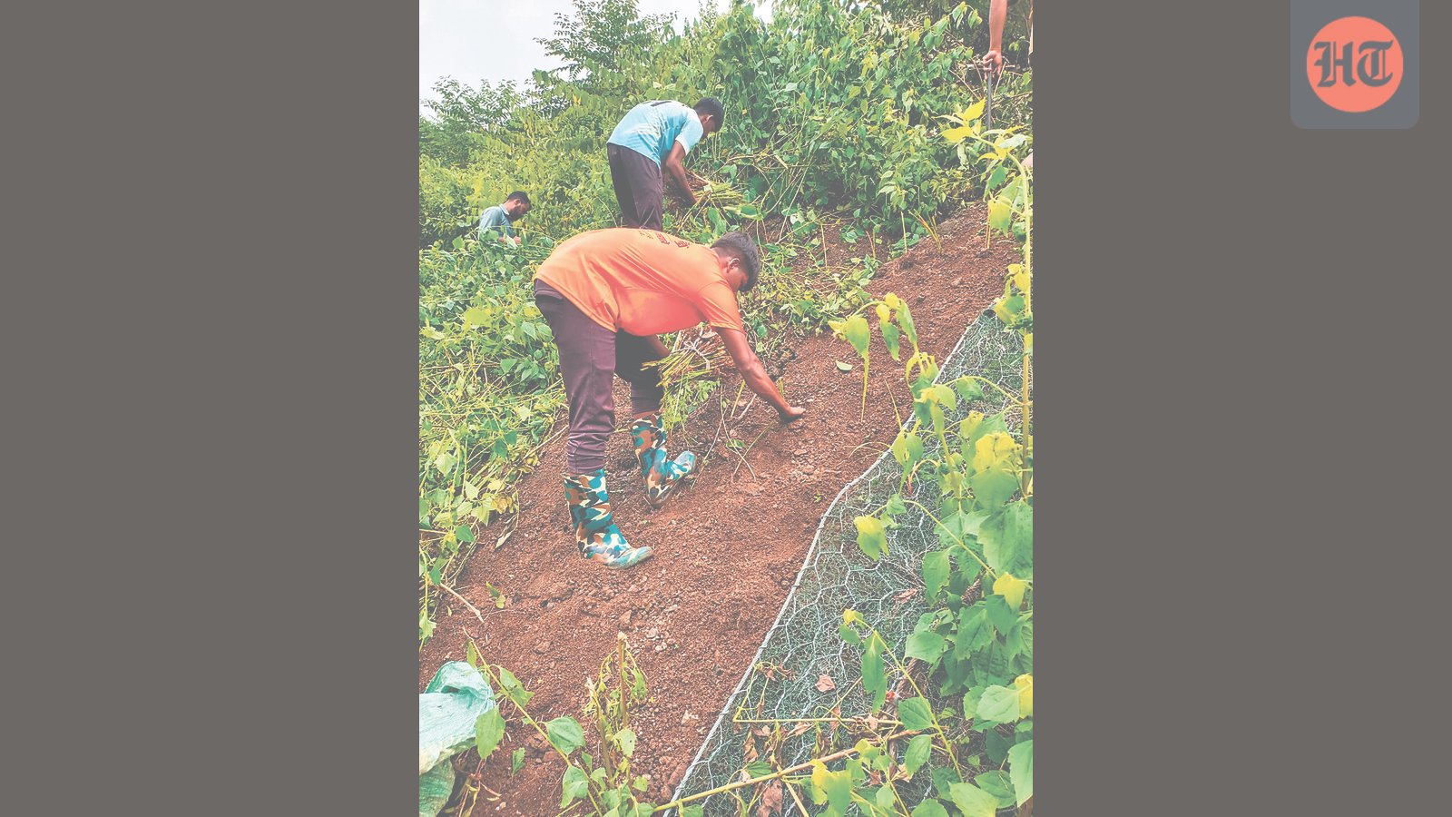vetiver-grass-to-protect-central-railway-ghat-slopes-on-pune-mumbai-route
