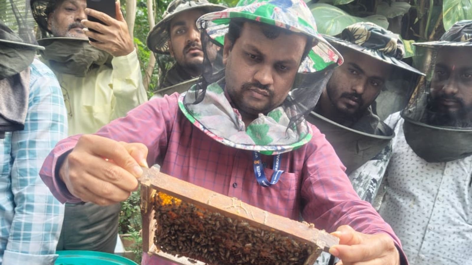 puneтАЩs-little-known-bee-museum:-a-hive-of-secrets-hidden-in-shivajinagar
