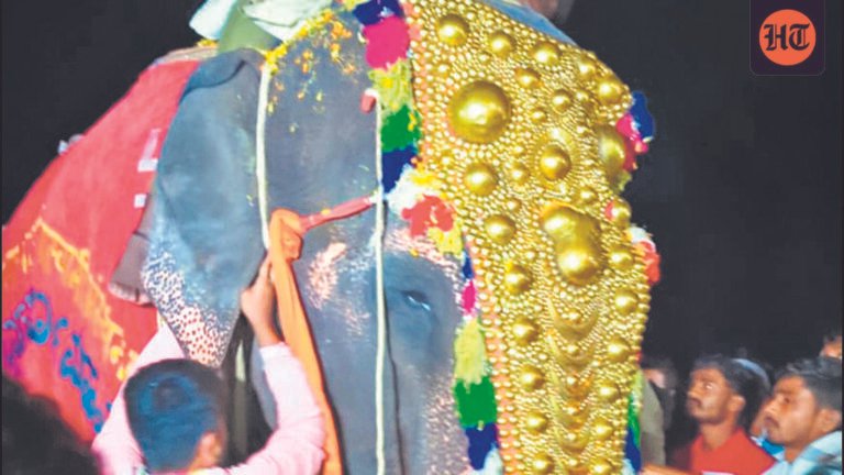 After year at Vantara, Madhuri returns home to Kolhapur